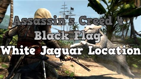 ac black flag jaguar location.